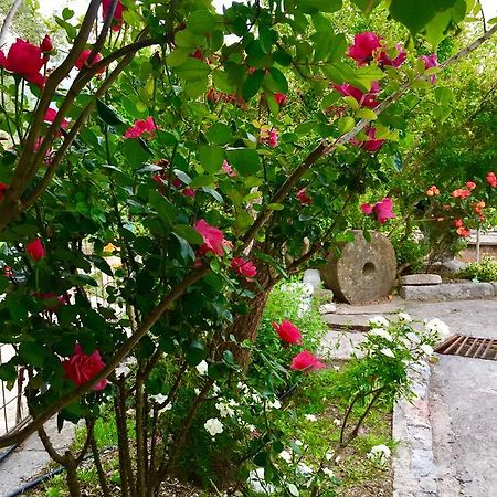 באר Apartmani Peric מראה חיצוני תמונה